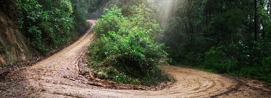 Off-Roading with E-Bikes: The Best Trails and Terrains for Your Next Adventure