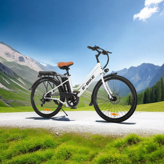 NR-7 Stainless Steel E-Bike Electric Waterproof City Bike Integrated Wiring 5-Layer Cardboard City E Bike